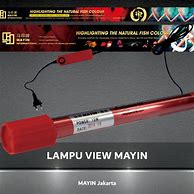 Lampu Aquarium Untuk Arwana Super Red